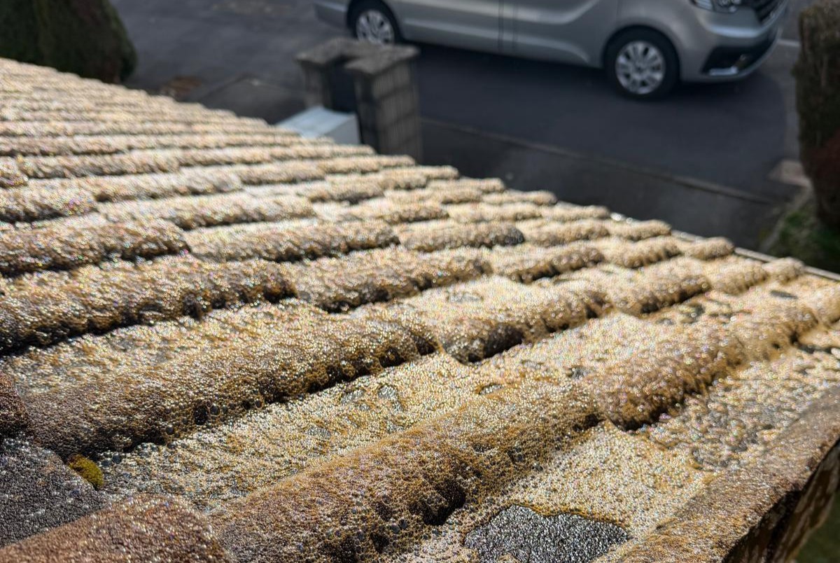 WhatsApp Image 2026-02-10 at 21.26.30 WhatsApp Image 2026-02-10 at 21.26.30